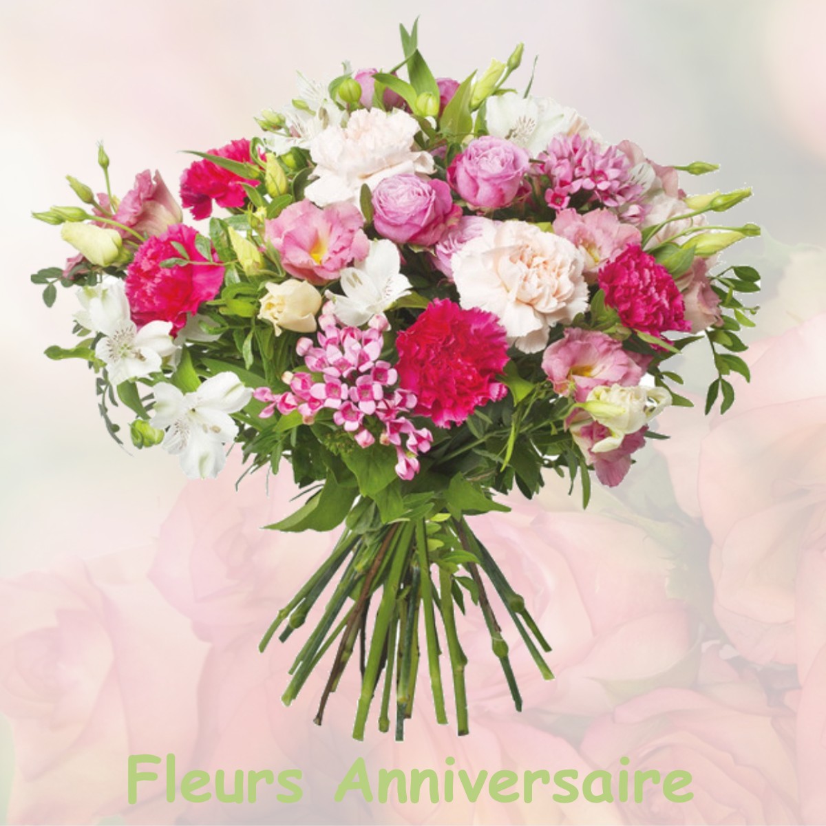 fleurs anniversaire WISSEMBOURG